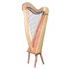 22 Strings Round Back Harp